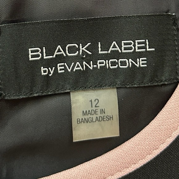 EVAN PICONE Sheath Dress Black w/ Pink Trim Size 12 Knee Length Sleeveless - Picture 8 of 11